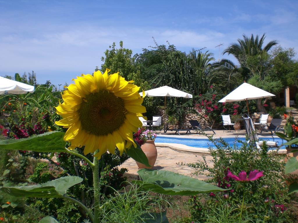 Agroturismo Na Set Centes - Adults Only Artá Exteriör bild